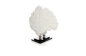 Coastal Coral 