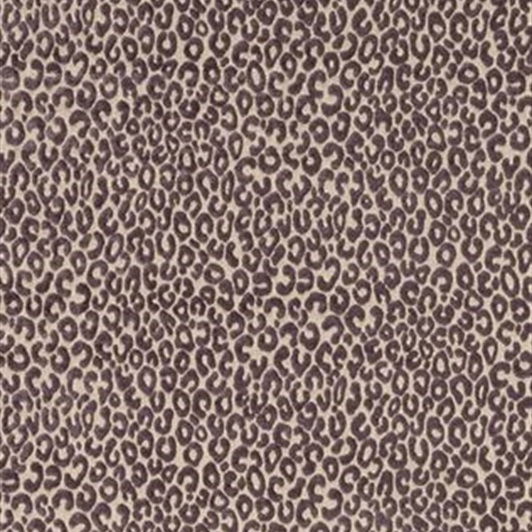 Cheetah 07