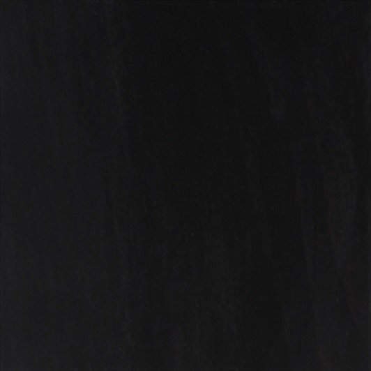 Ebony Light