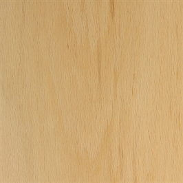 Natural Beech