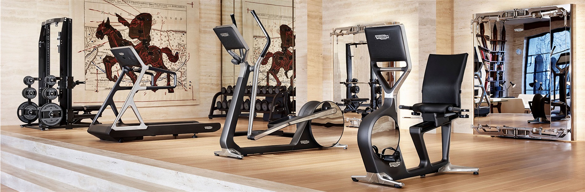 technogym, luxury home gym, technogym equipment