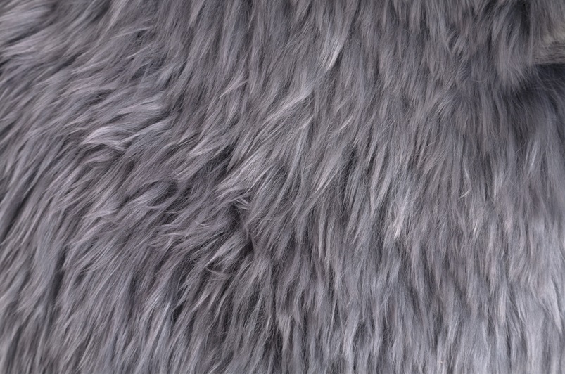 Steel