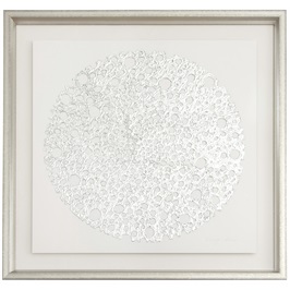 Silver Spots