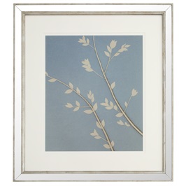 Botanical Fabric I
