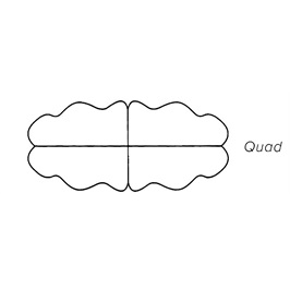 Quad Silver