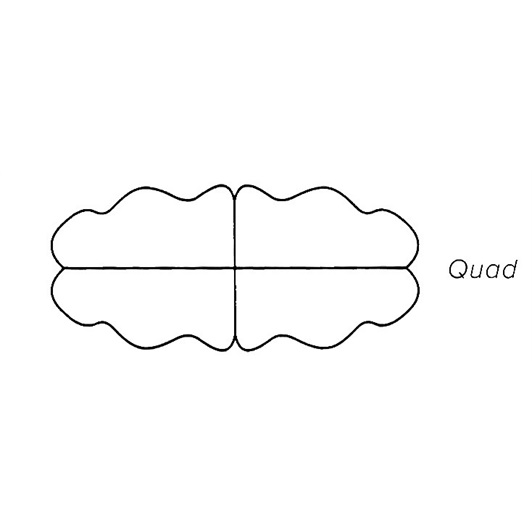 Quad Mink