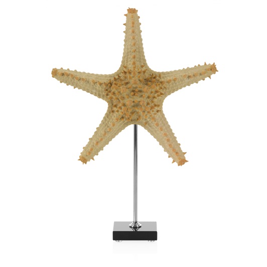 Starfish 