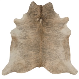 Exotic light (4.5 Sqm)