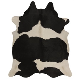 Black/White (4.5 Sqm)