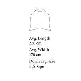 Black/White (3.5 Sqm)