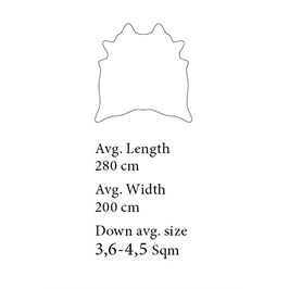 Exotic light (3.6 - 4.5 Sqm)