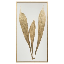 Modern Botany II