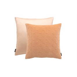 Cuba Apricot