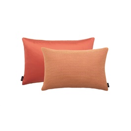 Faroe Apricot