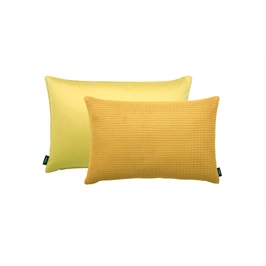 Faroe Yellow