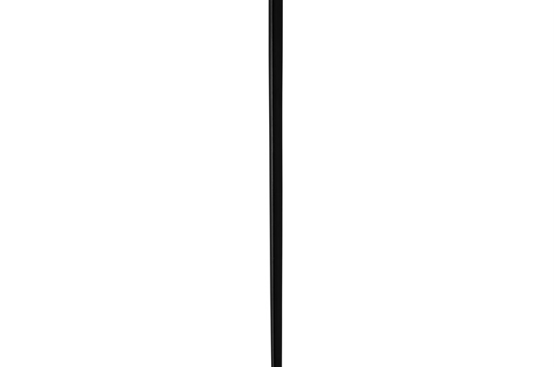 Westminister Walking Sticks (set of 5) H90-93.5cm Sheesham wood