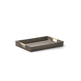 Modern Tray