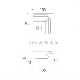 MODULE B1
