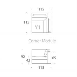 MODULE Y1