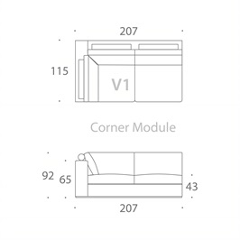 MODULE V1