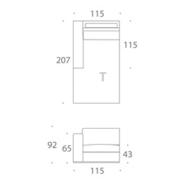 MODULE T
