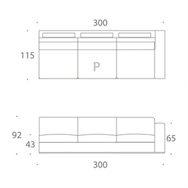 MODULE P