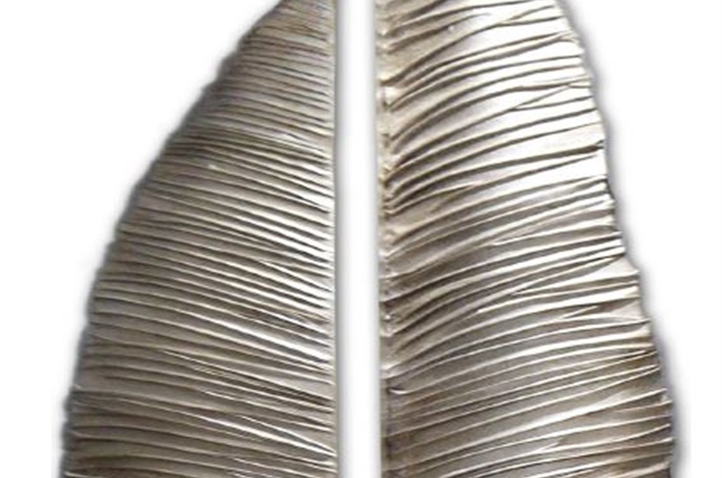 Armadillo 