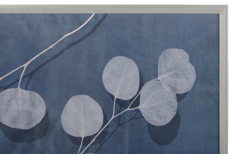 Eucalyptus I