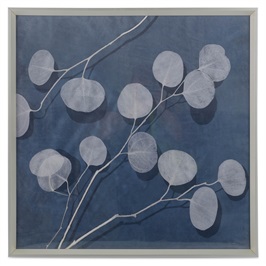 Eucalyptus I