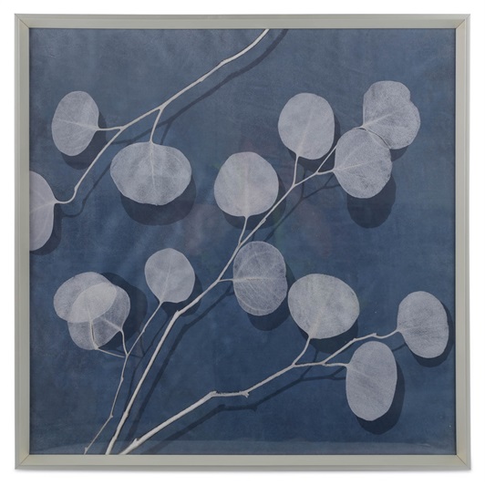 Eucalyptus I