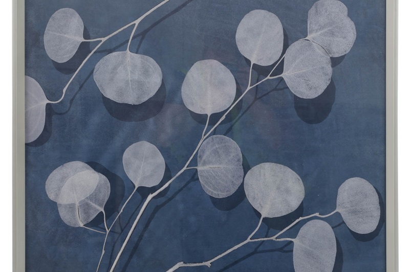 Eucalyptus I