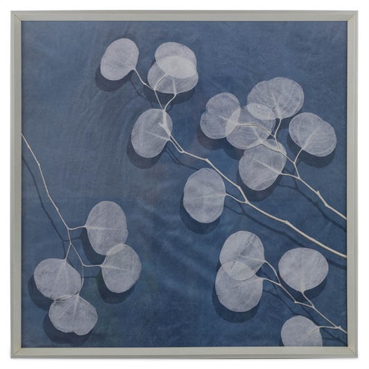 Eucalyptus II