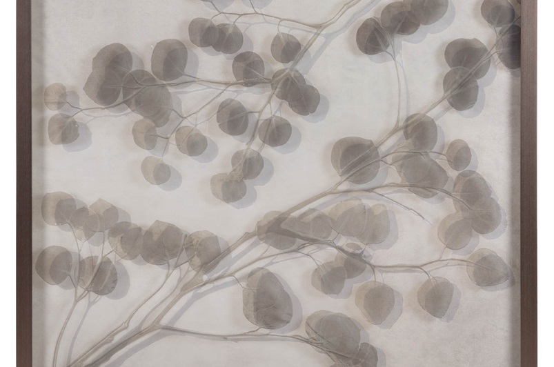 Eucalyptus III Wall Art