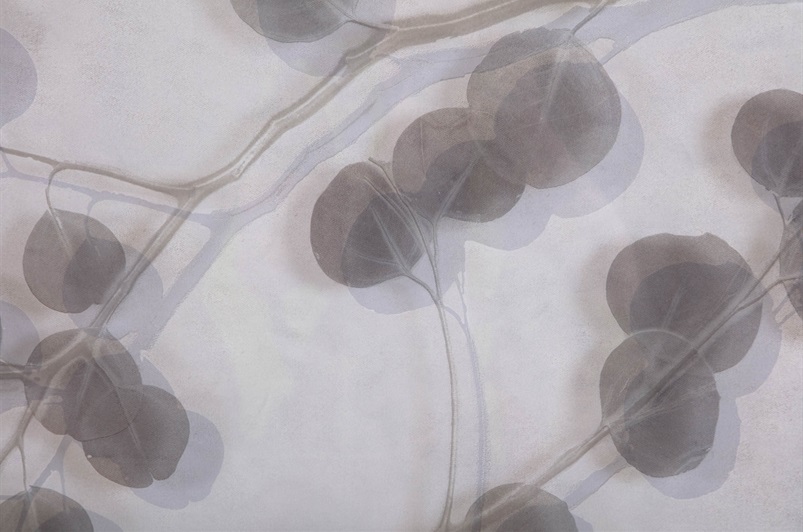 Eucalyptus III Wall Art