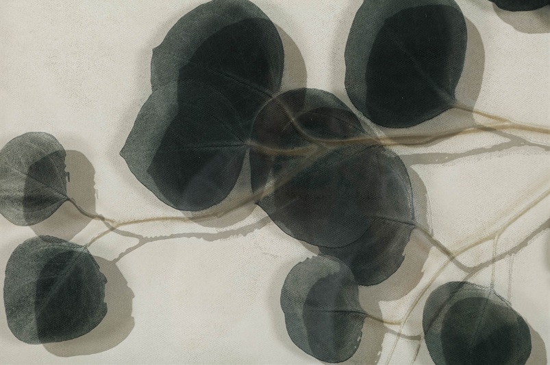 Lemon Leaf I