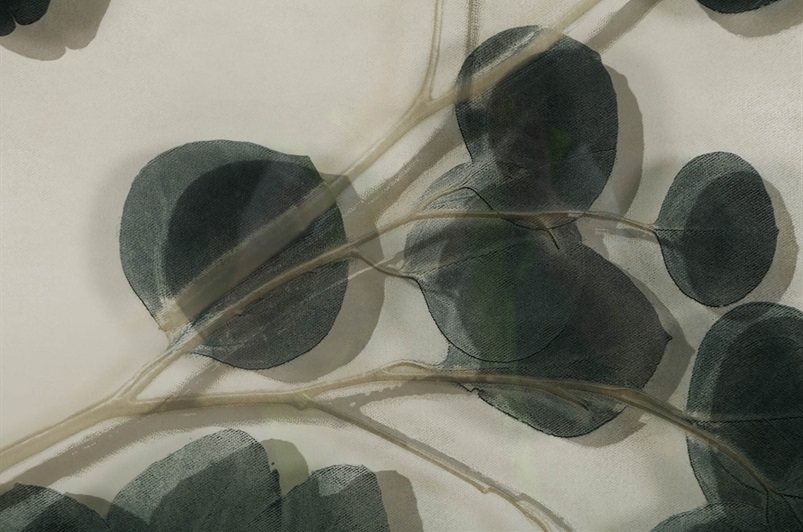 Lemon Leaf II