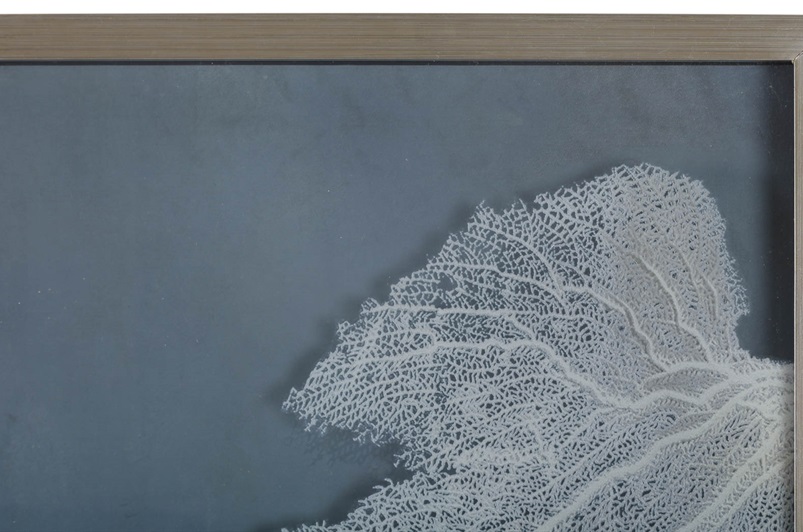 Sea Fan I