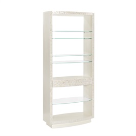 Roald Bookshelf