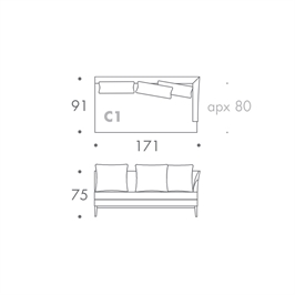 MODULE C1