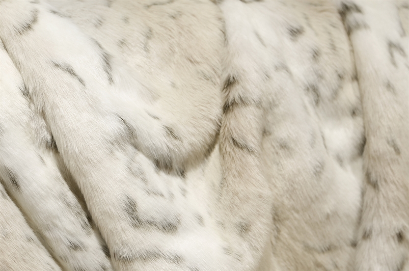 Snow Leopard
