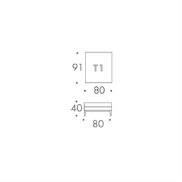 MODULE T1