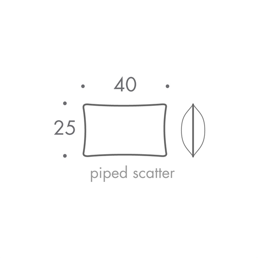 40 x 25