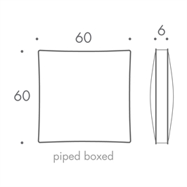 60 x 60