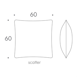 60 x 60