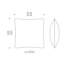 55 x 55