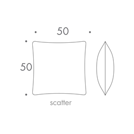 50 x 50