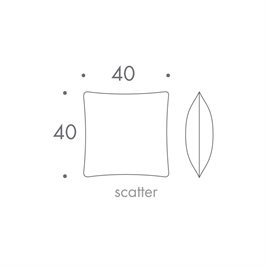 40 x 40