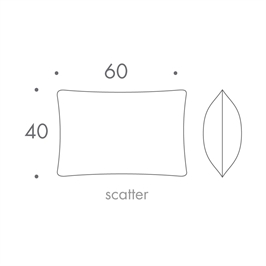 60 x 40