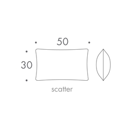50 x 30