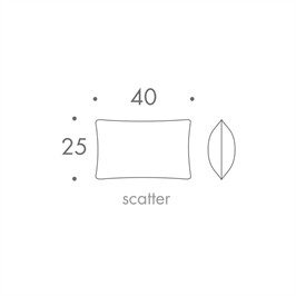 40 x 25